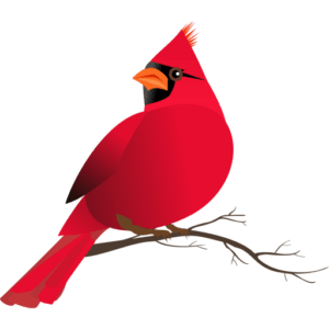 Cropped Cardinalfavicon 1.png