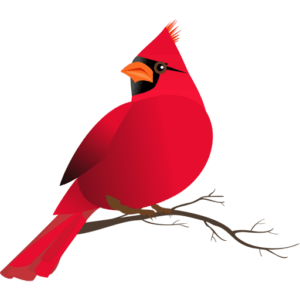 Cropped Cardinalfavicon.png